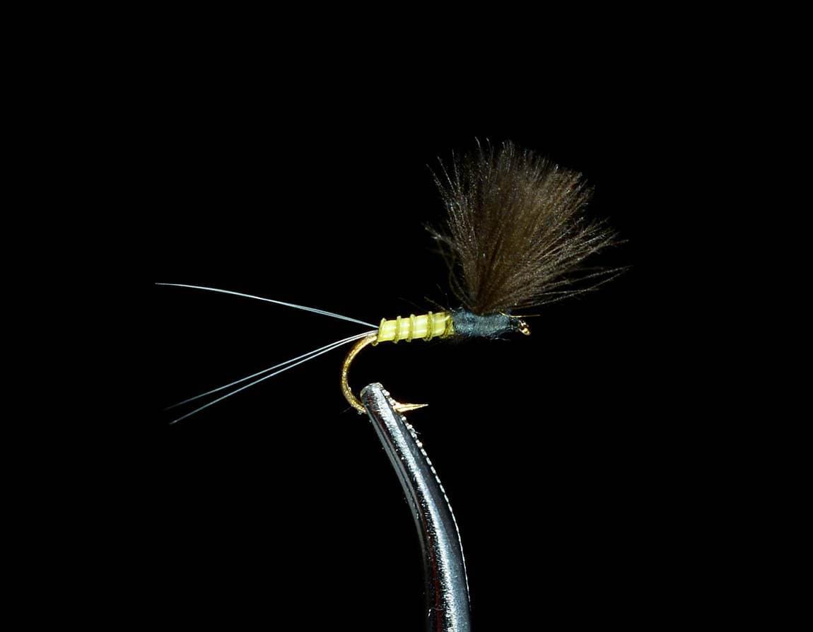 Winter Fly Assortment