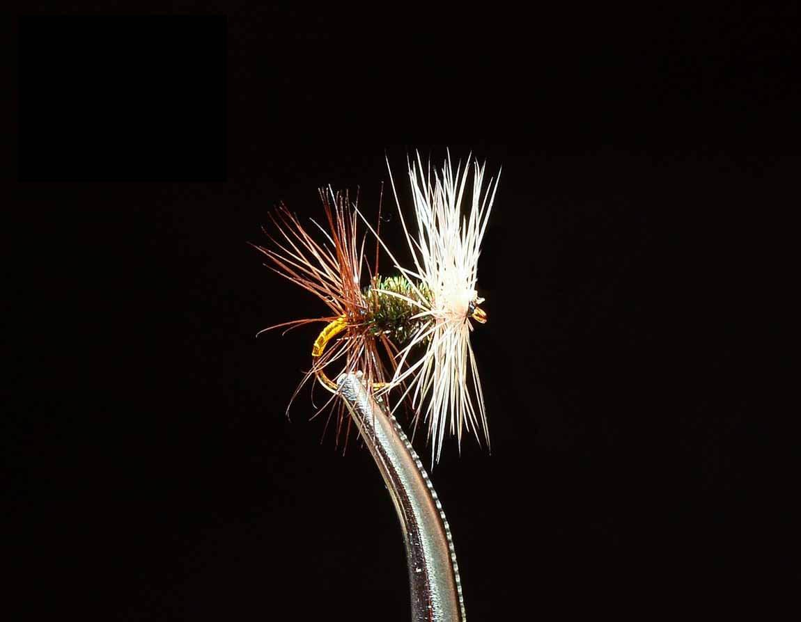 Winter Fly Assortment